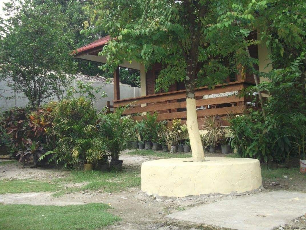 Nellie'S Tourist Inn- Port Barton ซาน วิเซนเต ภายนอก รูปภาพ